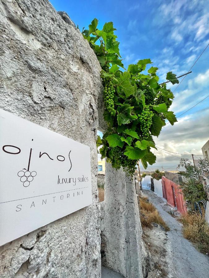 Oinos Luxury Suites Foinikia  Bagian luar foto